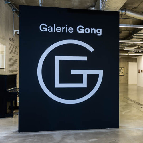 Galerie Gong - workshop, Pioneers, Kaplický, Kintera...