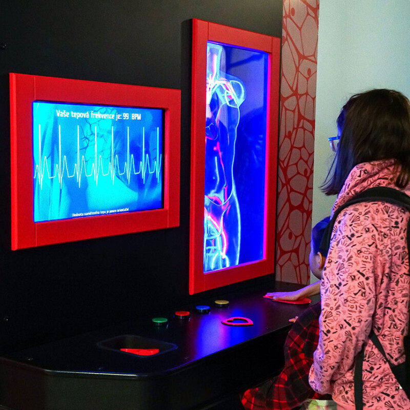 Srdce, které bije pro vědu! Novinka ve Světě techniky