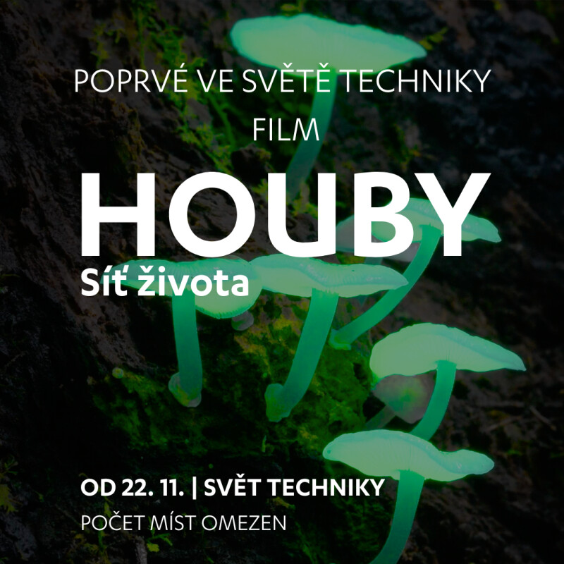 Film HOUBY - Síť života