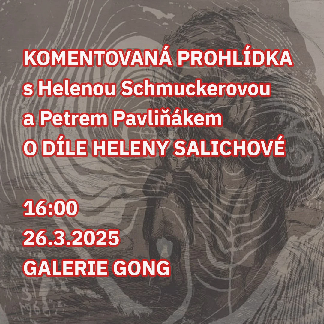 Komentovaná prohlídka o díle Heleny Salichové – Galerie Gong – Dolní Vítkovice